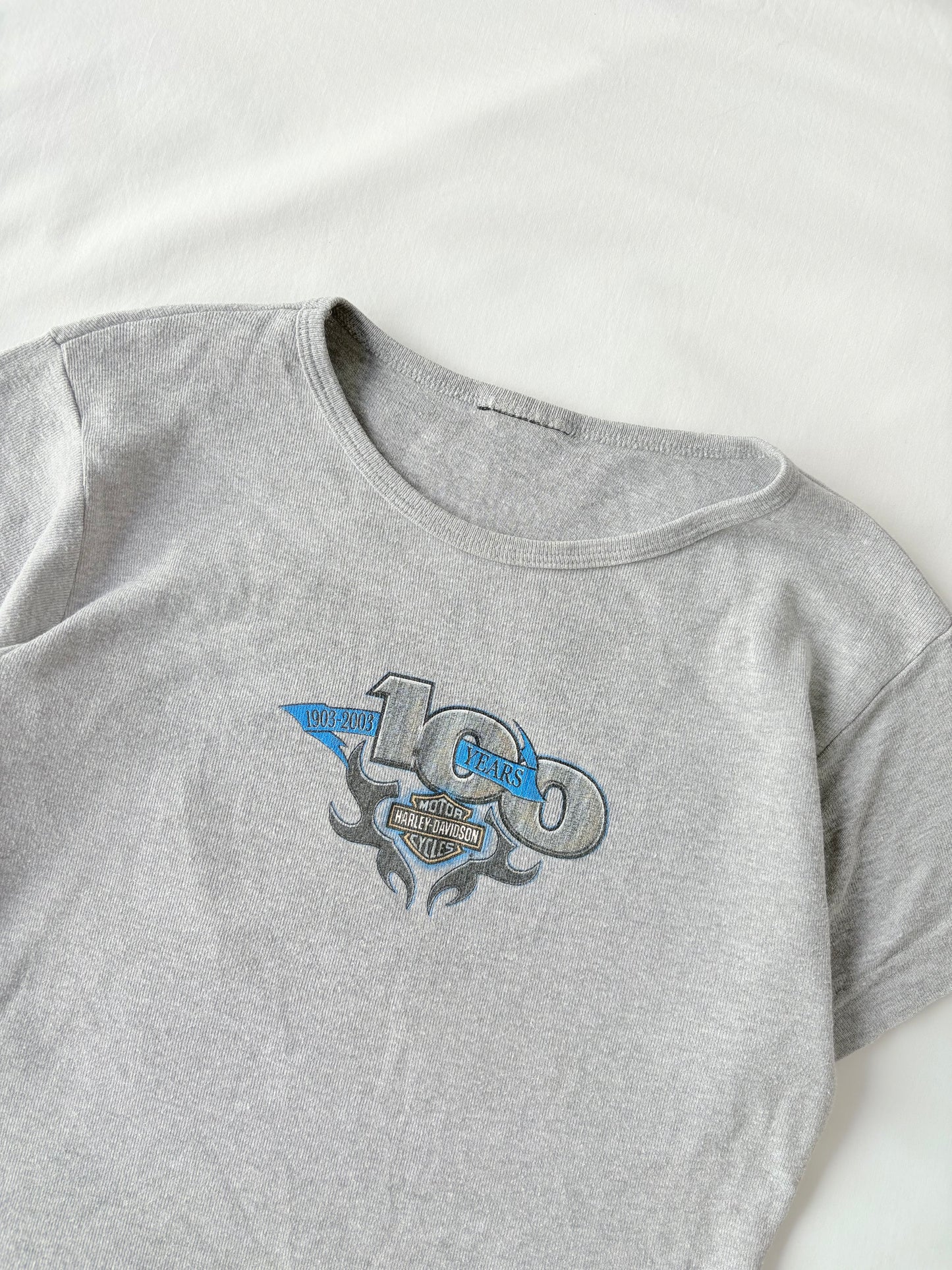 00’s Harley Davison 100 years tee | Size M/L