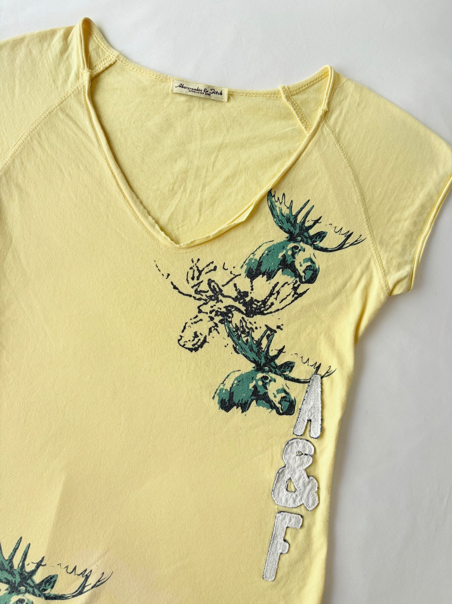 00’s Abercrombie yellow moose tee | Size medium