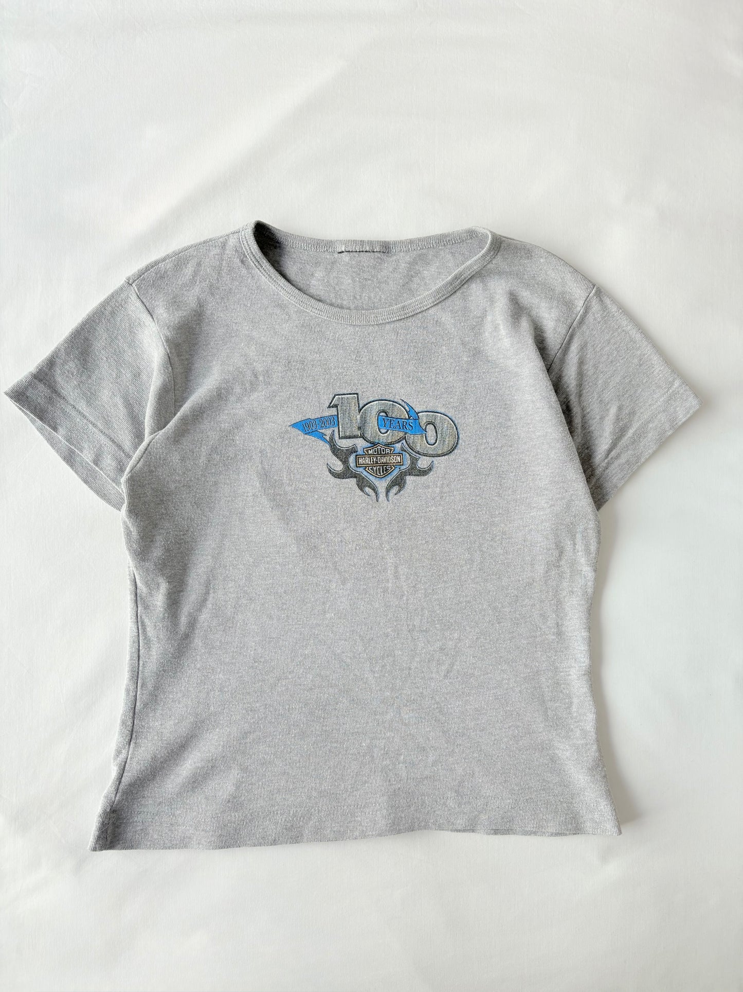 00’s Harley Davison 100 years tee | Size M/L